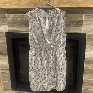 Jacob CHIC dress.  BNWT.